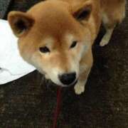 ヒメ日記 2025/11/30 22:26 投稿 生田 久留米デリヘルセンター