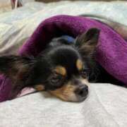 生田 ただいま😃🏠️✨ 久留米デリヘルセンター