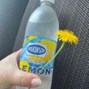 ヒメ日記 2025/06/20 11:00 投稿 白川ゆりこ 五十路マダム 新潟店(カサブランカグループ)