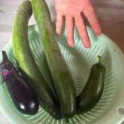 ヒメ日記 2025/06/28 08:24 投稿 白川ゆりこ 五十路マダム 新潟店(カサブランカグループ)