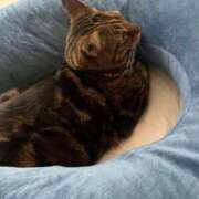 ヒメ日記 2025/07/03 11:24 投稿 白川ゆりこ 五十路マダム 新潟店(カサブランカグループ)