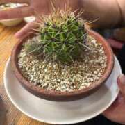 ヒメ日記 2025/07/27 21:16 投稿 白川ゆりこ 五十路マダム 新潟店(カサブランカグループ)