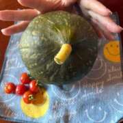 ヒメ日記 2025/07/30 09:32 投稿 白川ゆりこ 五十路マダム 新潟店(カサブランカグループ)