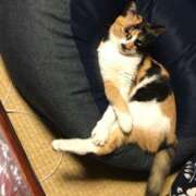 ヒメ日記 2025/08/06 20:04 投稿 白川ゆりこ 五十路マダム 新潟店(カサブランカグループ)