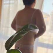 ヒメ日記 2025/08/07 21:14 投稿 白川ゆりこ 五十路マダム 新潟店(カサブランカグループ)