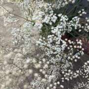 ヒメ日記 2025/08/10 21:44 投稿 白川ゆりこ 五十路マダム 新潟店(カサブランカグループ)