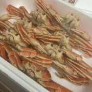 ヒメ日記 2025/08/24 11:32 投稿 白川ゆりこ 五十路マダム 新潟店(カサブランカグループ)