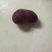 ヒメ日記 2025/09/13 11:56 投稿 白川ゆりこ 五十路マダム 新潟店(カサブランカグループ)