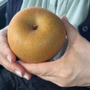 ヒメ日記 2025/09/28 10:10 投稿 白川ゆりこ 五十路マダム 新潟店(カサブランカグループ)