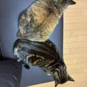 ヒメ日記 2025/11/05 13:20 投稿 白川ゆりこ 五十路マダム 新潟店(カサブランカグループ)