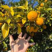 ヒメ日記 2025/11/12 19:56 投稿 白川ゆりこ 五十路マダム 新潟店(カサブランカグループ)