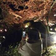 ヒメ日記 2025/11/16 22:12 投稿 白川ゆりこ 五十路マダム 新潟店(カサブランカグループ)