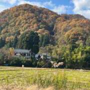 ヒメ日記 2025/11/29 10:54 投稿 白川ゆりこ 五十路マダム 新潟店(カサブランカグループ)