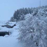 ヒメ日記 2026/02/02 13:16 投稿 白川ゆりこ 五十路マダム 新潟店(カサブランカグループ)