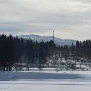 ヒメ日記 2026/02/10 11:18 投稿 白川ゆりこ 五十路マダム 新潟店(カサブランカグループ)