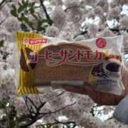 ヒメ日記 2026/04/05 13:10 投稿 白川ゆりこ 五十路マダム 新潟店(カサブランカグループ)