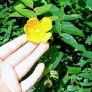 ヒメ日記 2025/06/17 10:26 投稿 ゆあ スパーク日本橋