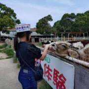 ヒメ日記 2025/08/31 14:02 投稿 ゆあ スパーク日本橋
