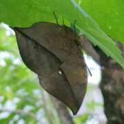 ヒメ日記 2025/07/17 22:57 投稿 しずく 錦糸町ミセスアロマ（ユメオト）