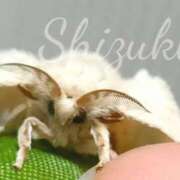 しずく うちて育てている子❤明後日(土曜)は午後から出勤❤ 錦糸町ミセスアロマ（ユメオト）