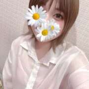 ヒメ日記 2025/06/27 11:26 投稿 うい みつらん鉄道