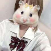 ヒメ日記 2025/07/13 10:44 投稿 うい みつらん鉄道