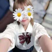 ヒメ日記 2025/07/14 23:04 投稿 うい みつらん鉄道