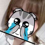 ヒメ日記 2025/08/10 06:26 投稿 うい みつらん鉄道