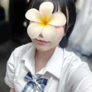 ヒメ日記 2025/08/31 05:54 投稿 うい みつらん鉄道