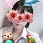 ヒメ日記 2025/09/03 10:34 投稿 うい みつらん鉄道