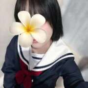 ヒメ日記 2025/09/06 11:34 投稿 うい みつらん鉄道