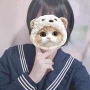 ヒメ日記 2025/09/17 09:14 投稿 うい みつらん鉄道