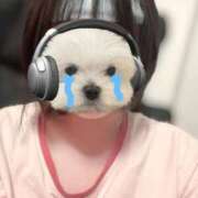 ヒメ日記 2025/10/11 00:54 投稿 うい みつらん鉄道