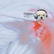 ヒメ日記 2025/10/12 14:54 投稿 うい みつらん鉄道