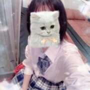 ヒメ日記 2025/10/20 10:50 投稿 うい みつらん鉄道