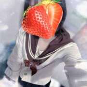 ヒメ日記 2025/11/06 13:44 投稿 うい みつらん鉄道