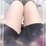 ヒメ日記 2025/11/06 14:54 投稿 うい みつらん鉄道