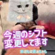 ヒメ日記 2025/11/13 15:24 投稿 うい みつらん鉄道