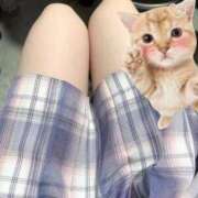 ヒメ日記 2025/11/14 20:14 投稿 うい みつらん鉄道