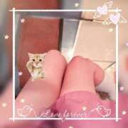 ヒメ日記 2025/11/21 11:14 投稿 うい みつらん鉄道