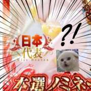 ヒメ日記 2025/12/05 16:24 投稿 うい みつらん鉄道