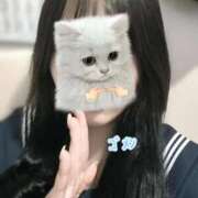 ヒメ日記 2025/12/07 06:34 投稿 うい みつらん鉄道