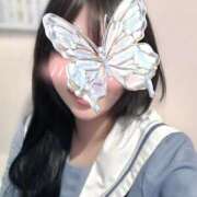 ヒメ日記 2025/12/10 16:04 投稿 うい みつらん鉄道