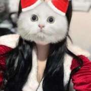 ヒメ日記 2025/12/24 06:34 投稿 うい みつらん鉄道