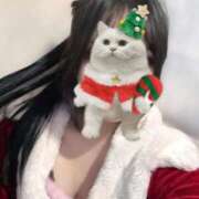 ヒメ日記 2025/12/26 17:24 投稿 うい みつらん鉄道