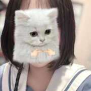 ヒメ日記 2026/01/12 09:18 投稿 うい みつらん鉄道