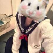 ヒメ日記 2026/01/22 17:22 投稿 うい みつらん鉄道