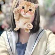 ヒメ日記 2026/02/20 14:31 投稿 うい みつらん鉄道