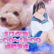 ヒメ日記 2026/03/15 01:04 投稿 うい みつらん鉄道