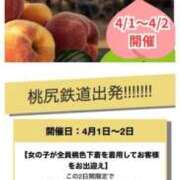 ヒメ日記 2026/04/01 15:04 投稿 うい みつらん鉄道